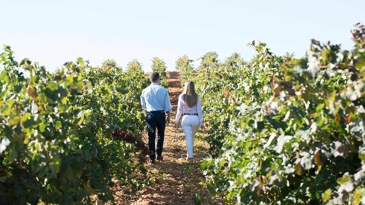 Les domaines viticoles sont aussi une bonne affaire