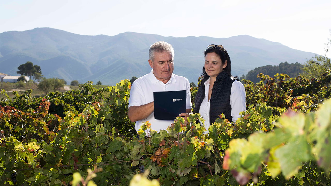 Vendere una cantina: pronto a fare il grande passo?