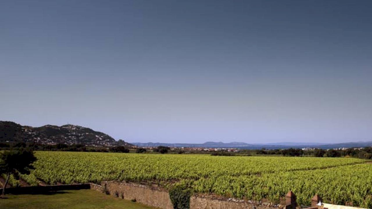 Finca mit Weinbergen und Olivenbäumen in DO Empordà.