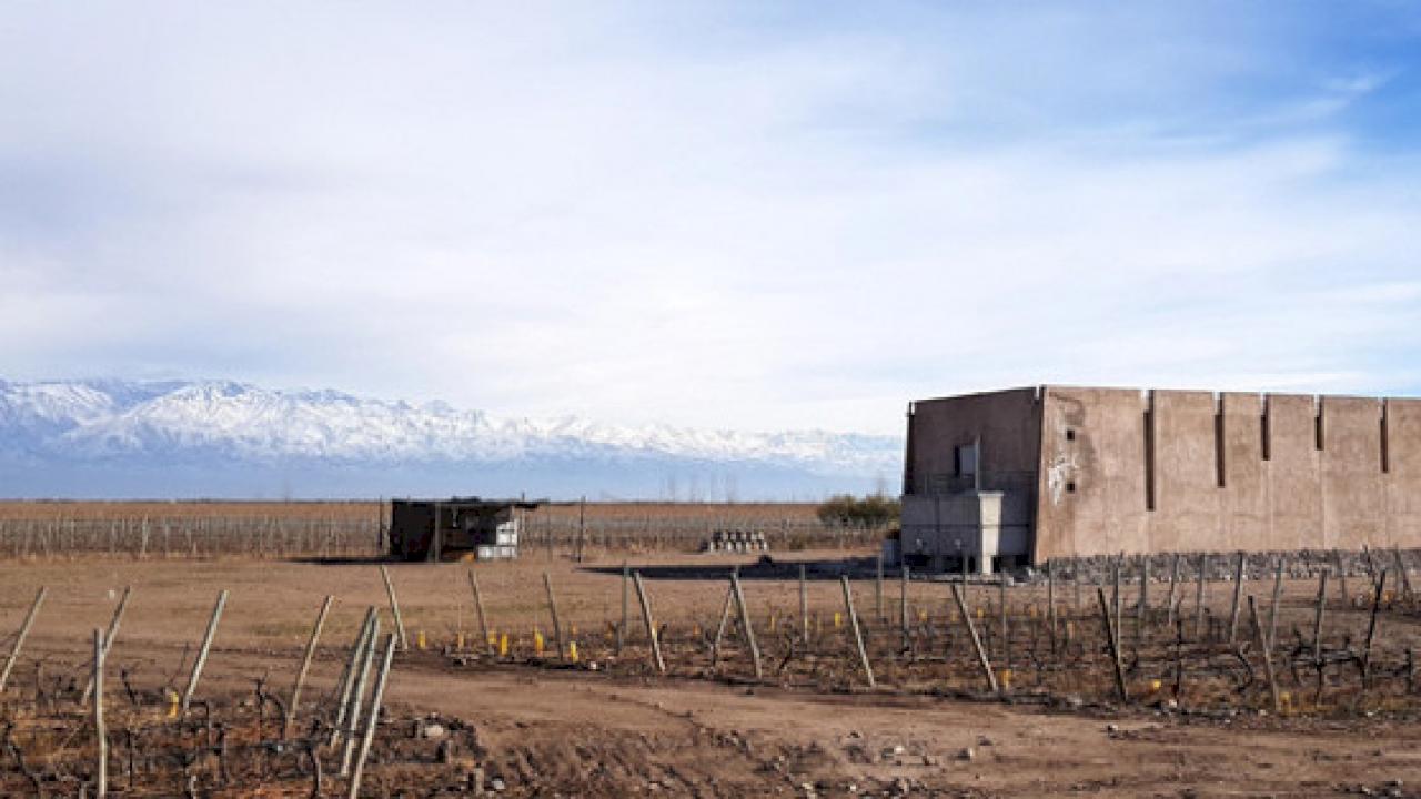 Bodega en venta en Valle del Uco, Argentina.