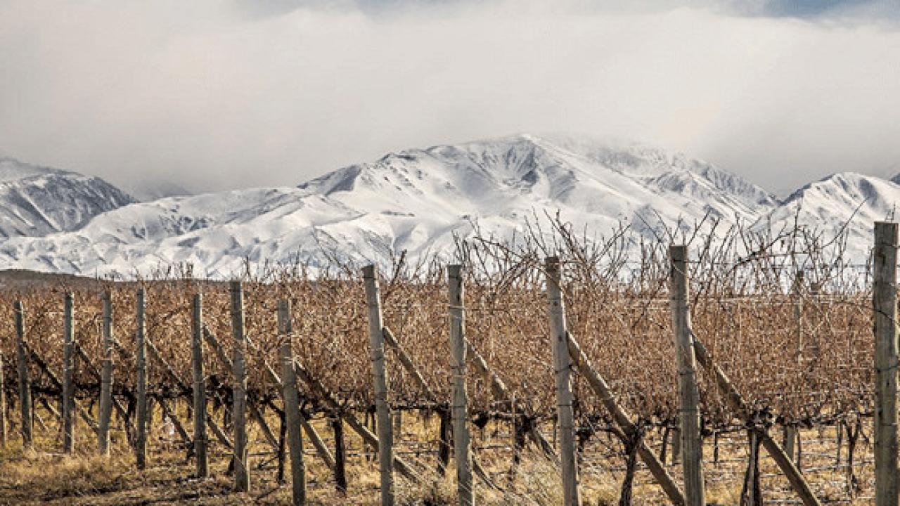 Domaine viticole d'une importante capacité de production avec 5 ha de vignes.