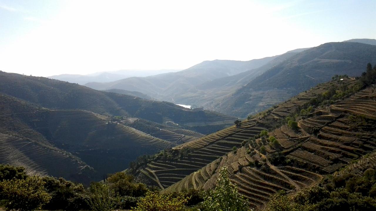 Zwei Weingüter in der besten Gegend des Douro.