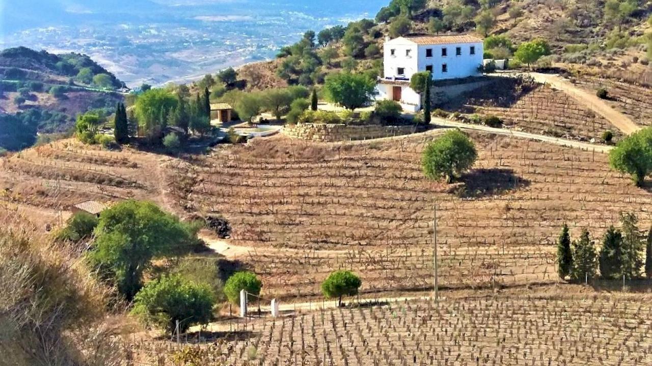 Small winery with apartment just 20 minutes from the Costa del Sol