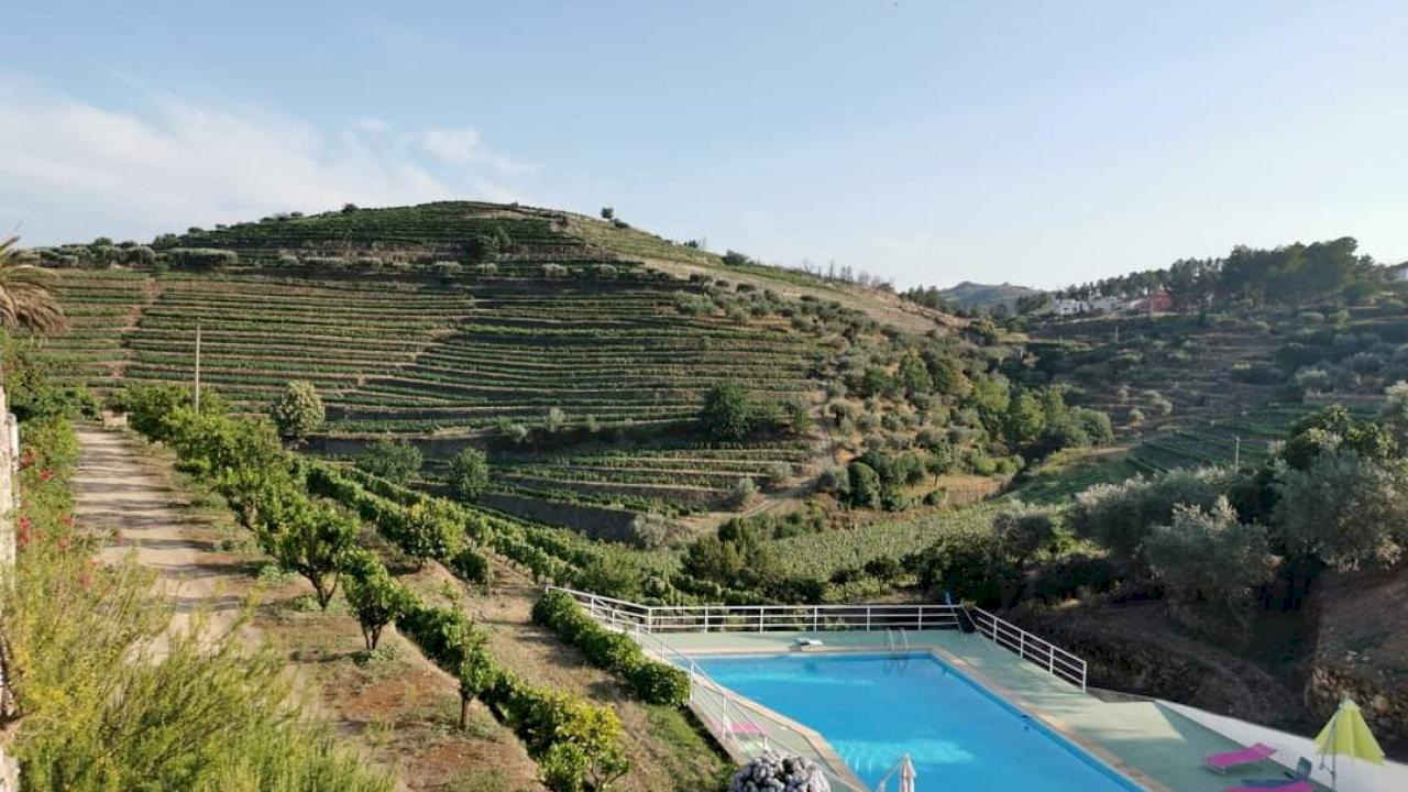 Hotel rural con viñedos y olivos en el Douro