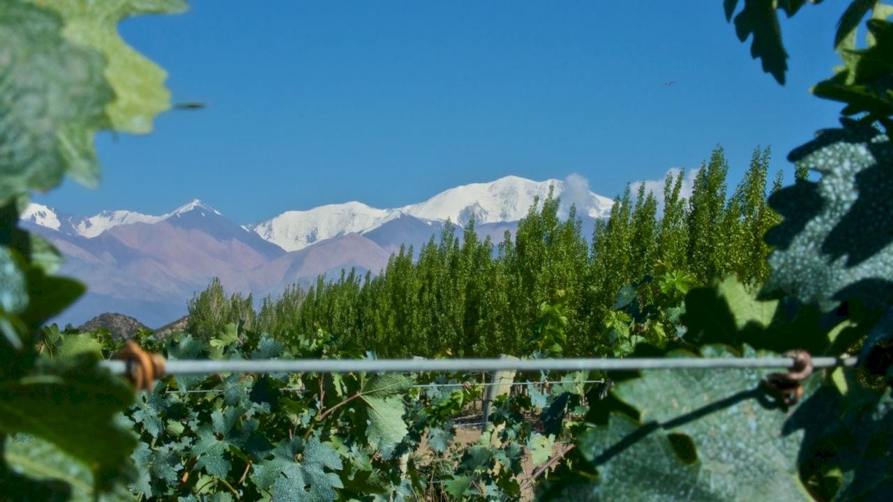 Domaine de 1 700 acres en Argentine avec célèbre domaine viticole et parcours de golf.
