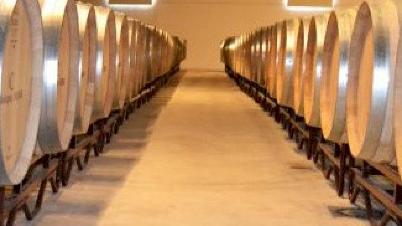 Cave viticole de grande capacité de production dans la DO Utiel-Requena.