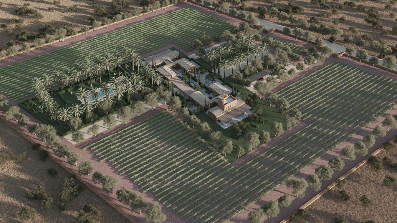 New construction project with renowned architect. Luxury villa with vineyards and olive trees.