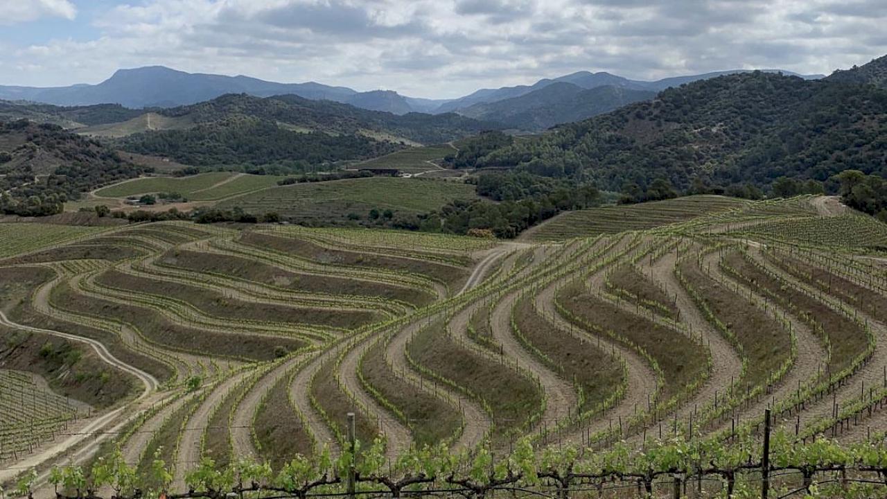 Piccola azienda vinicola in un villaggio di Priorat con 6 ettari di vigneto