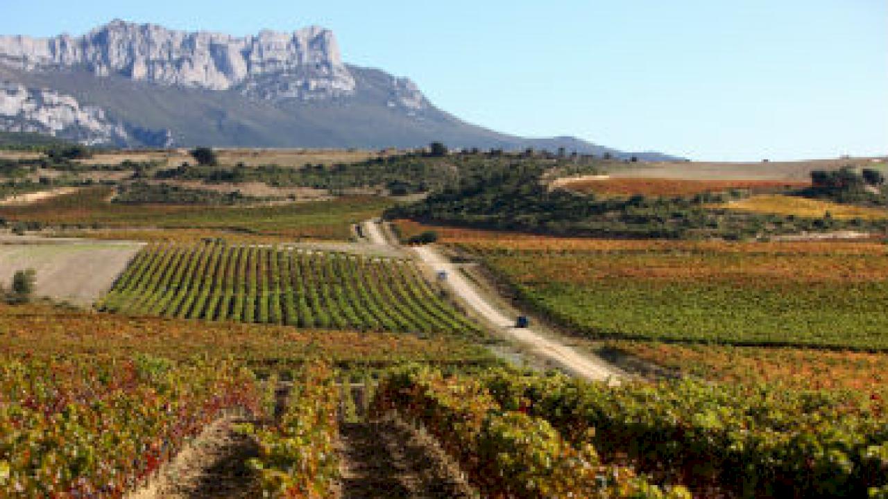 Niesamowita winiarnia na zboczach Sierra Cantabria w Rioja Alta.