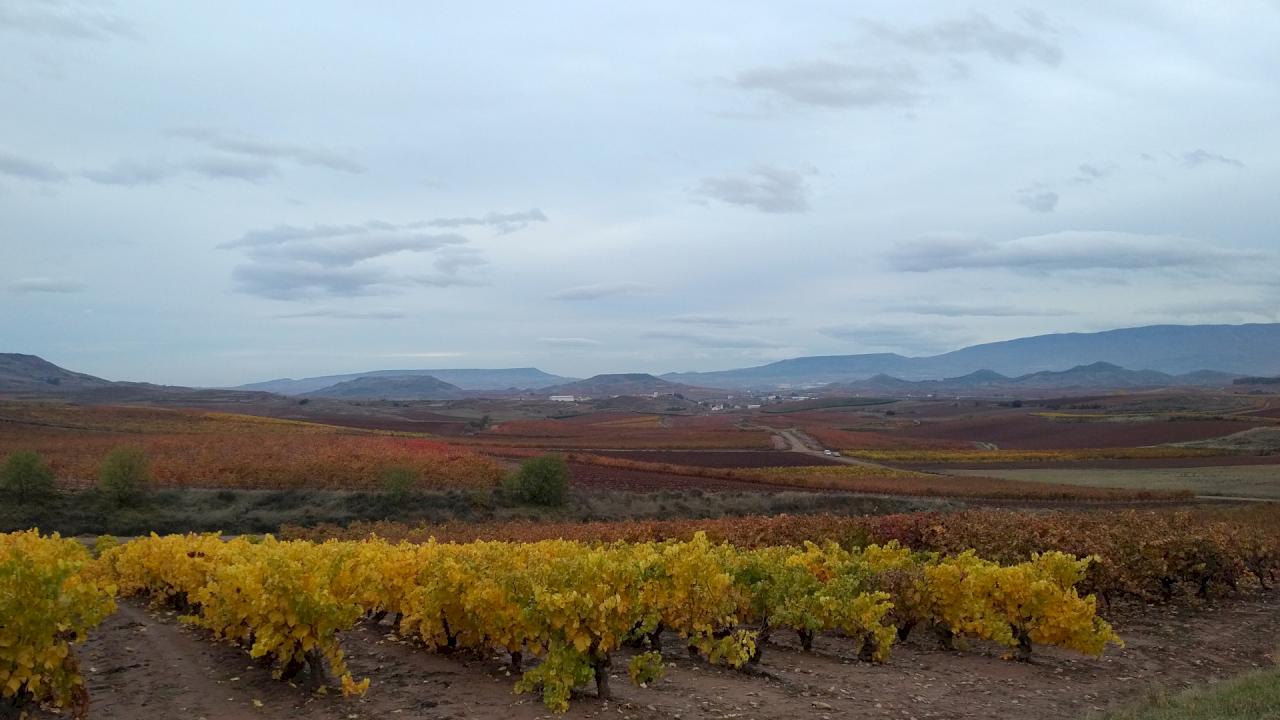 Cave confortable avec 20 hectares de vignoble dans la Rioja Alavesa