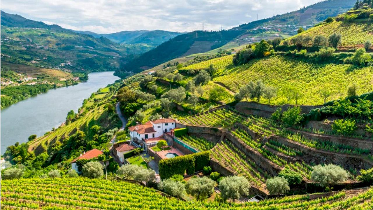 Weingut mit 15 Hektar Fläche und Blick auf den Douro im Prime-Gebiet