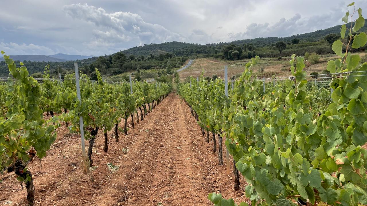 Profitable winery seeks majority partner.