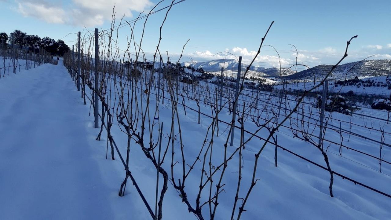 Weingut und Haus mit 2,5 Hektar Weinbergen, hochgelegenen und hochwertigen Weinen.