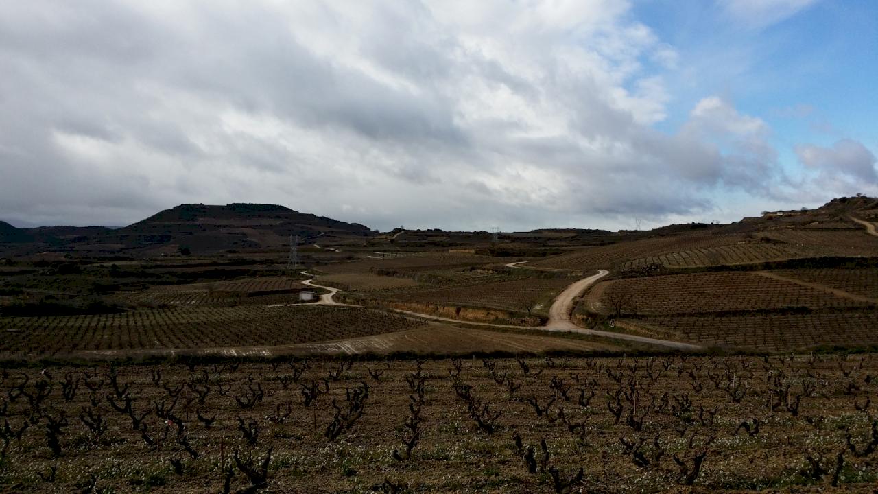 Azienda vinicola per rossi e bianchi con 18 ettari di vigneto.