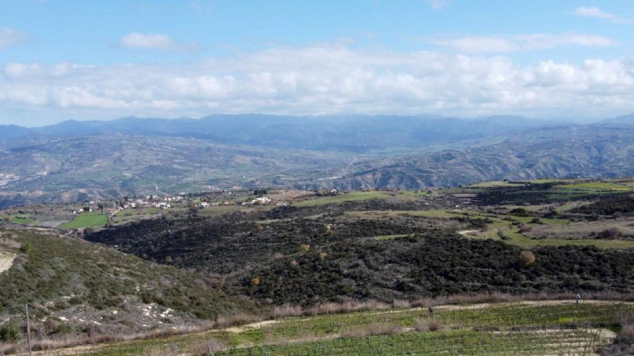 Winery with 5 hectares of vineyards