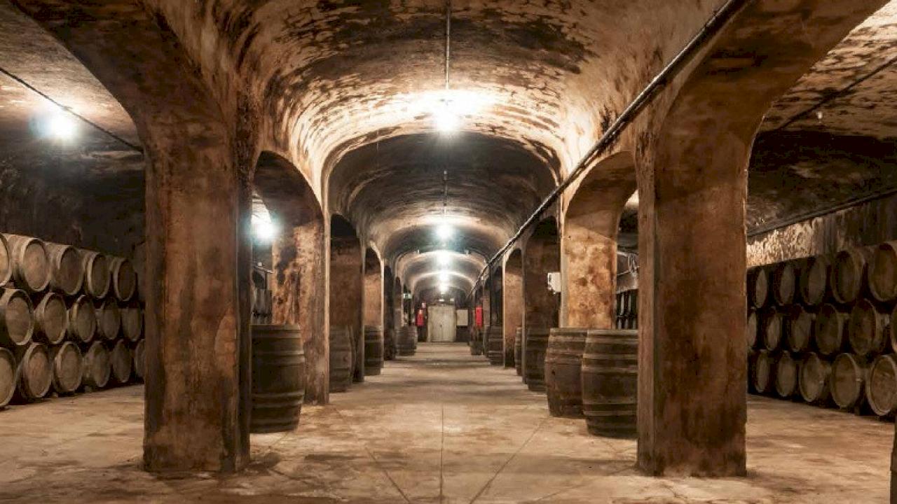 Cantina di Cava con masseria in vendita nella DO Penedès.