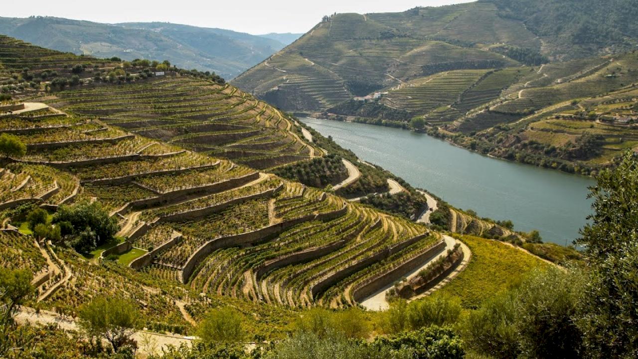 Cave avec 15 hectares de vignes, vues spectaculaires.