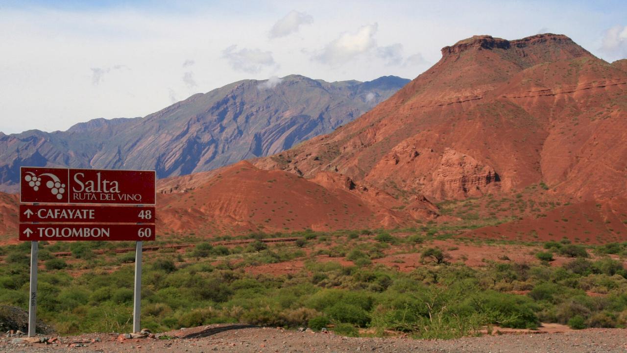 Moderne Bodega mit Weingütern in Cafayate