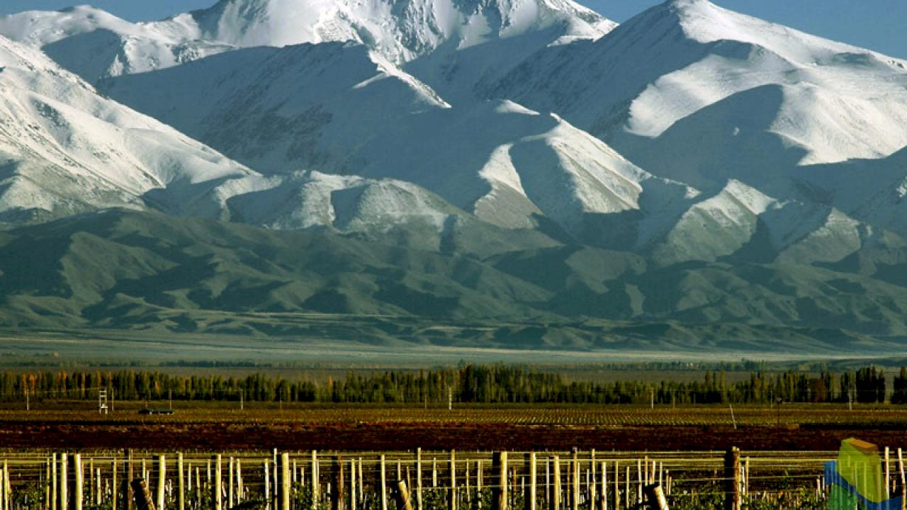 Domaine viticole avec 8 hectares de Malbec.