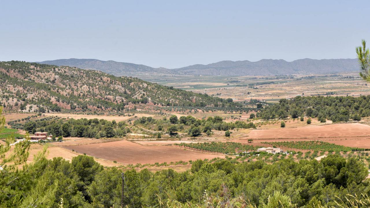 Ferme avec terrain agricole de 140 ha, située entre Alicante et Murcia.