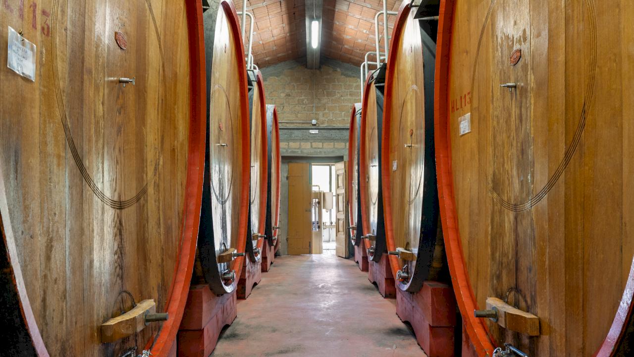Weingut mit 15 ha Weinbergen in Montalcino und 28 ha in Montecucco.