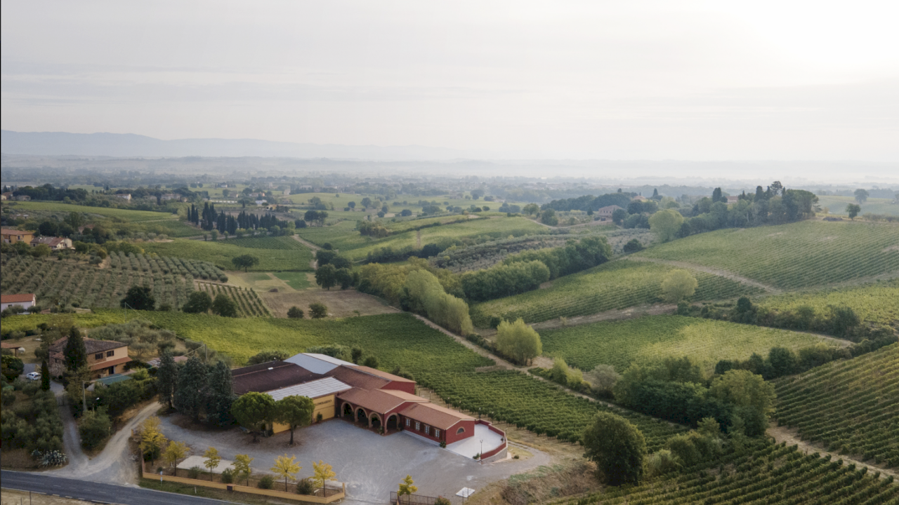 Modernes Weingut mit 42,72 ha, davon ca. 34,80 ha sorgfältig gepflegte Weinberge mit prestigeträchtigen Rebsorten.