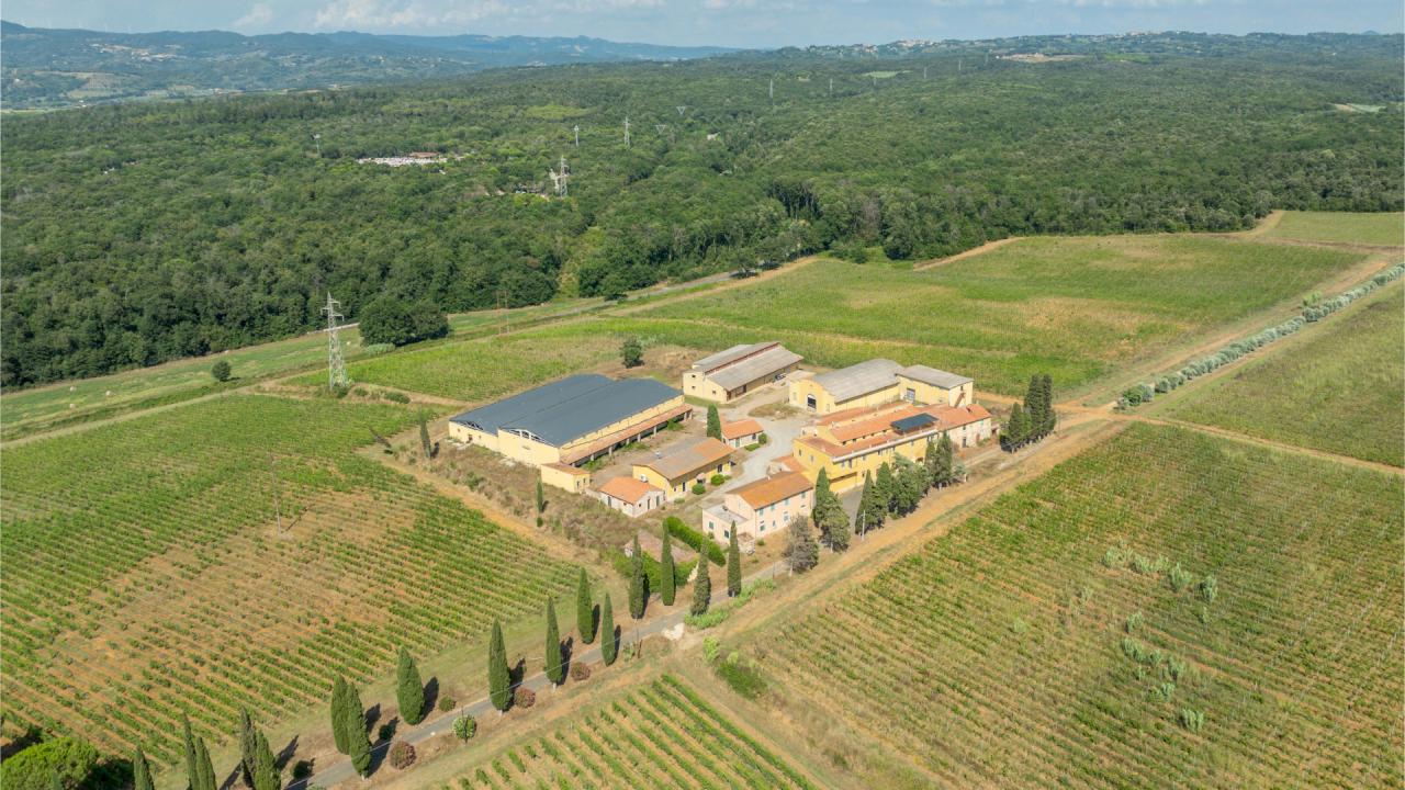 Estate for the development of a high-level wine business, with potential to integrate luxury hospitality, agritourism.