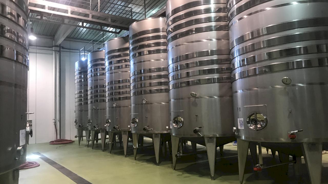 White wine production winery in DO Rueda.