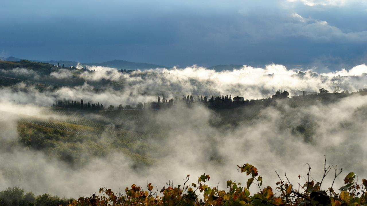 Weingut in DO Rías Baixas, Galicien, zu verkaufen.