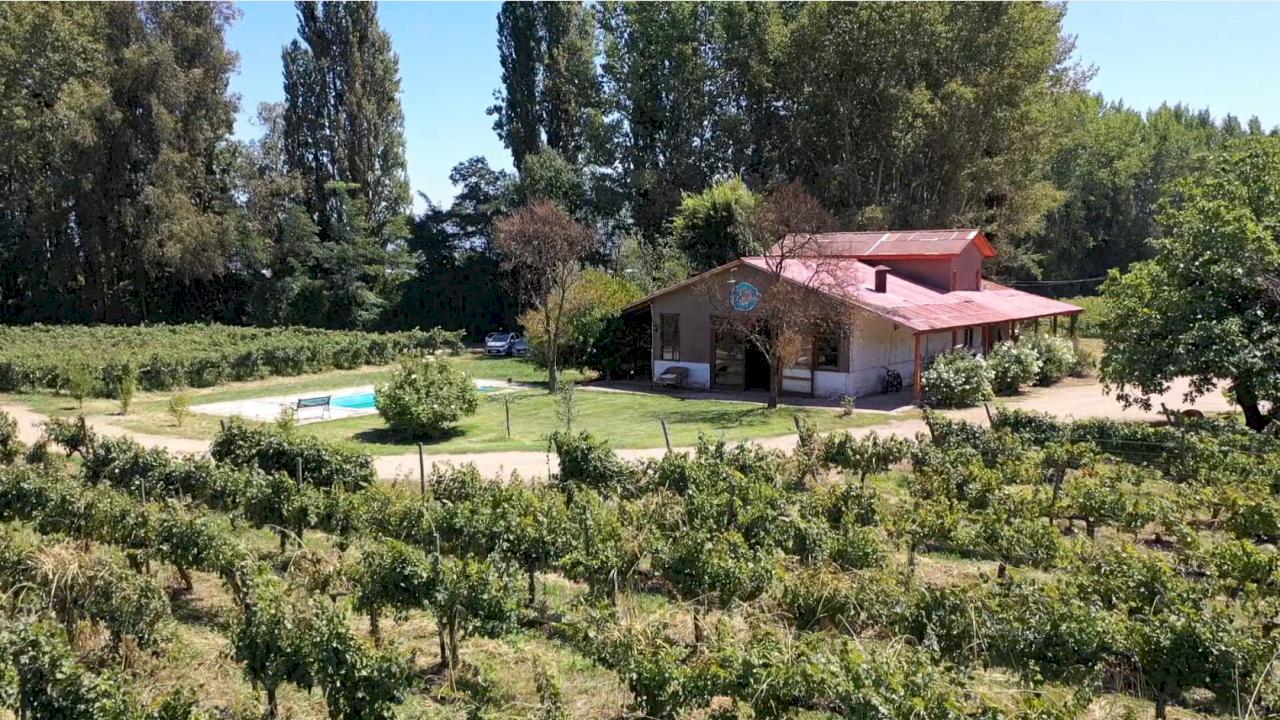 VINÍCOLA COM RESTAURANTE PARA EVENTOS