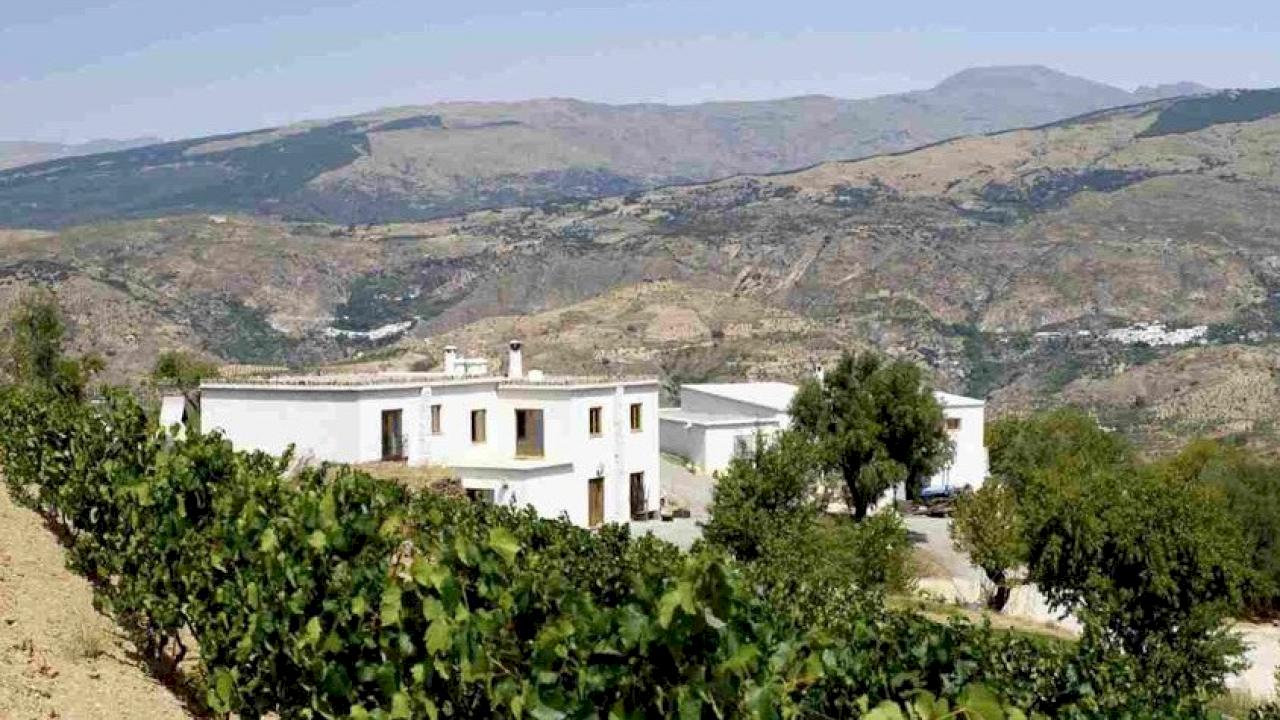 Winiarnia wina organicznego w Andaluzji.