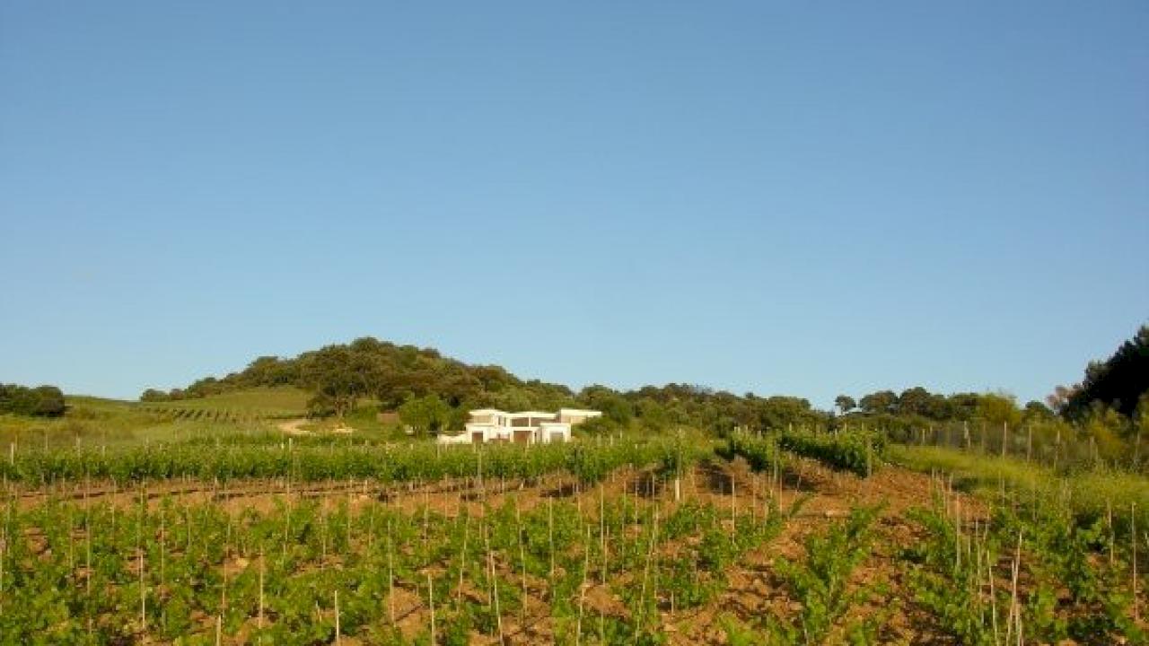 Ökologisches Weingut mit Weinbergen in DO Málaga.