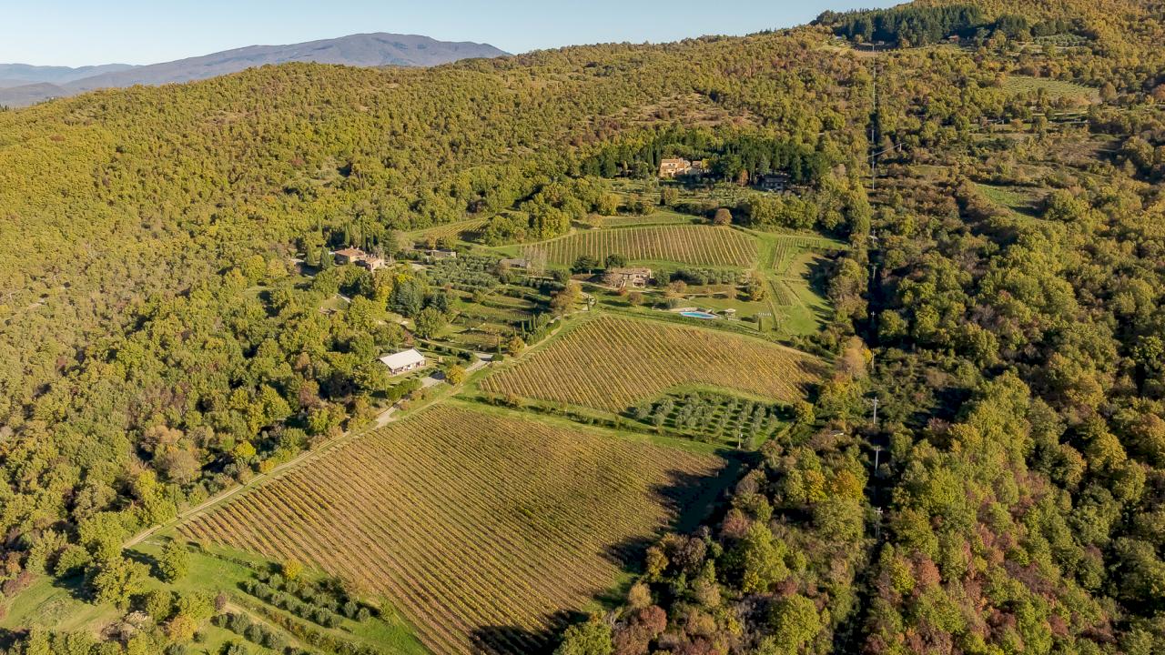 Azienda Vinicola Chianti DOCG