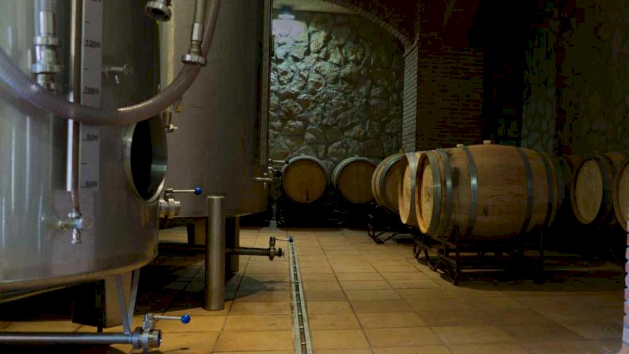 Kleines Hotel mit Weingut, Restaurant und 2 Hektar Weinbergen.