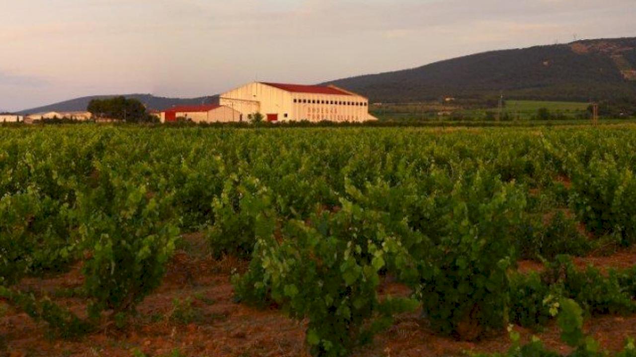 Large capacity winery in DO Valencia region.