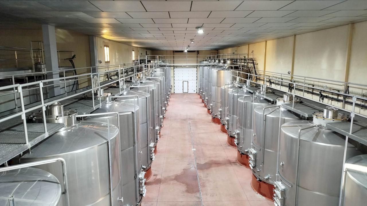 Special: Winery with large capacity and 100 hectares of vineyards