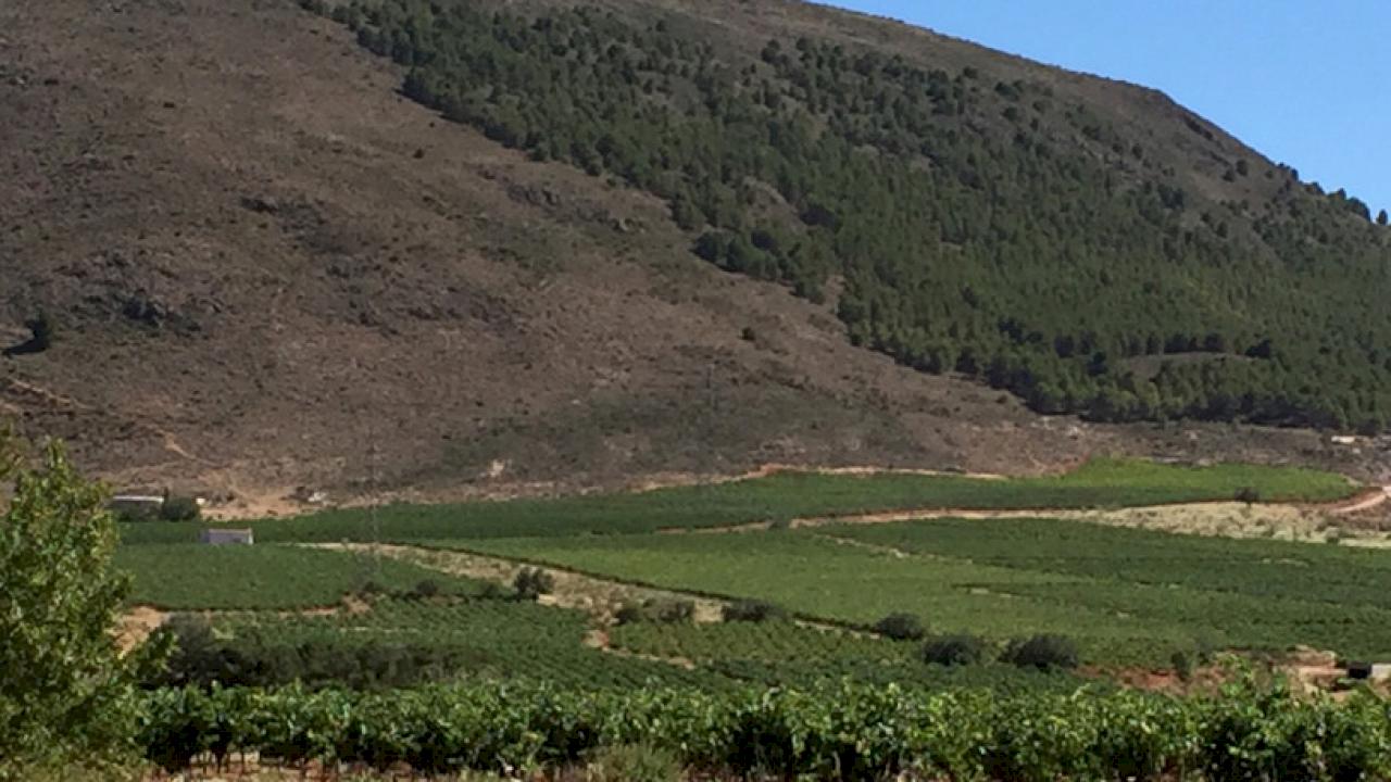 Cantina in vendita in Almería.