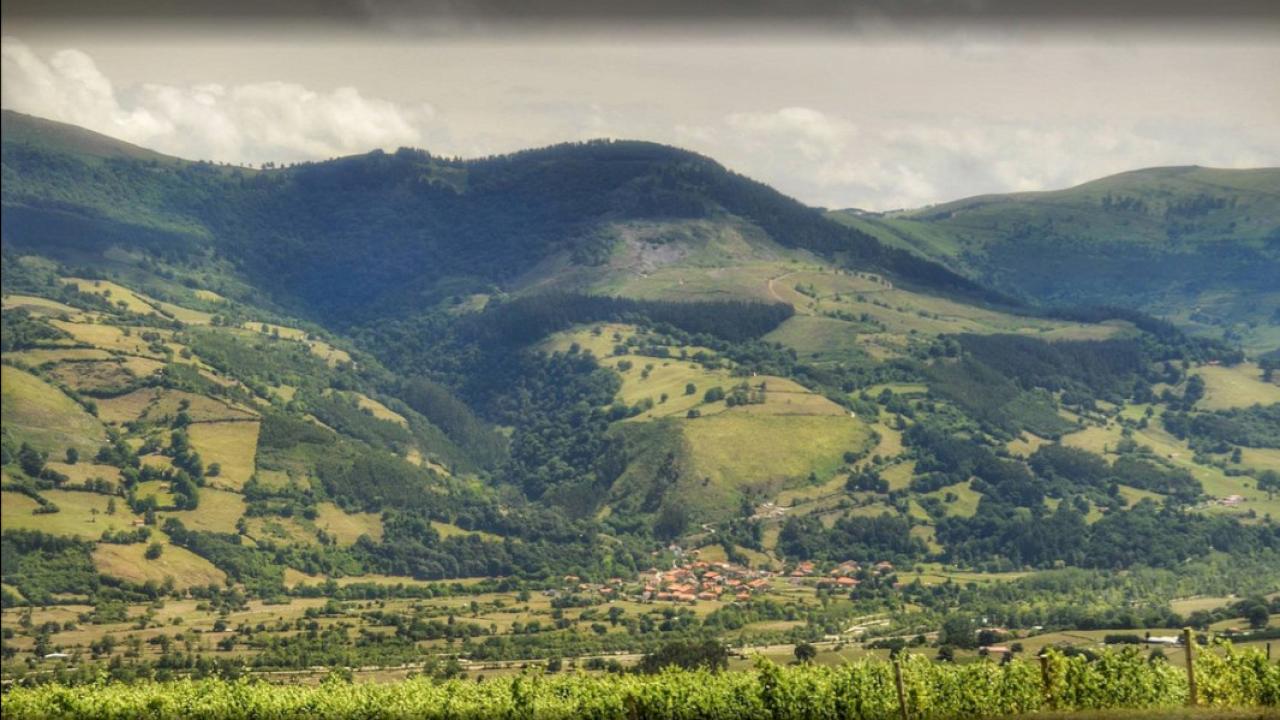 Una baita Pasiega restaurata e trasformata in azienda vinicola per vini bianchi, con 7 ettari di terreno.