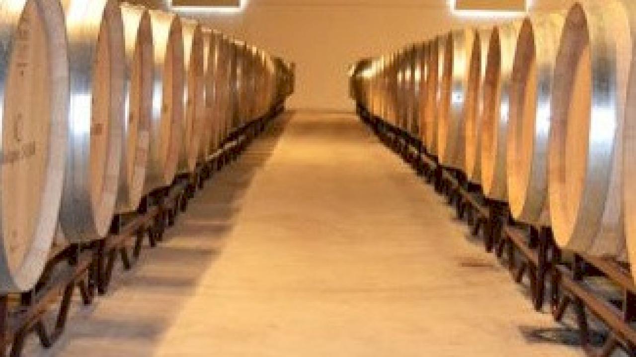 Cantina di grandi produzione nella DO Utiel-Requena.
