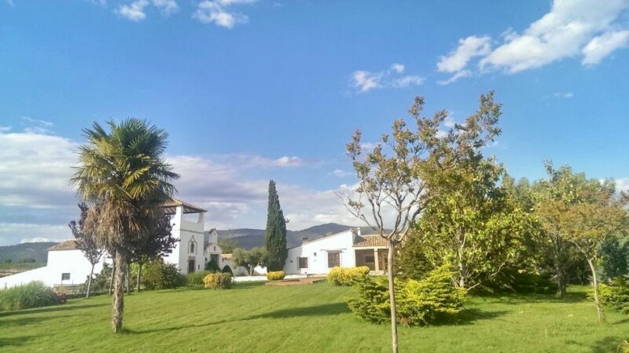 Anwesen mit Haus und Weinbergen in DO Utiel-Requena.