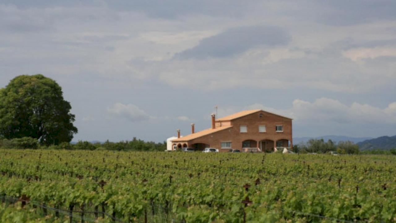 Finca de 75 ha con viñedo y olivos en el delta del Ebro.