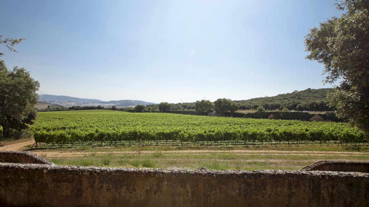 Weingut mit Weinberg und historischem Haus in DO Navarra.