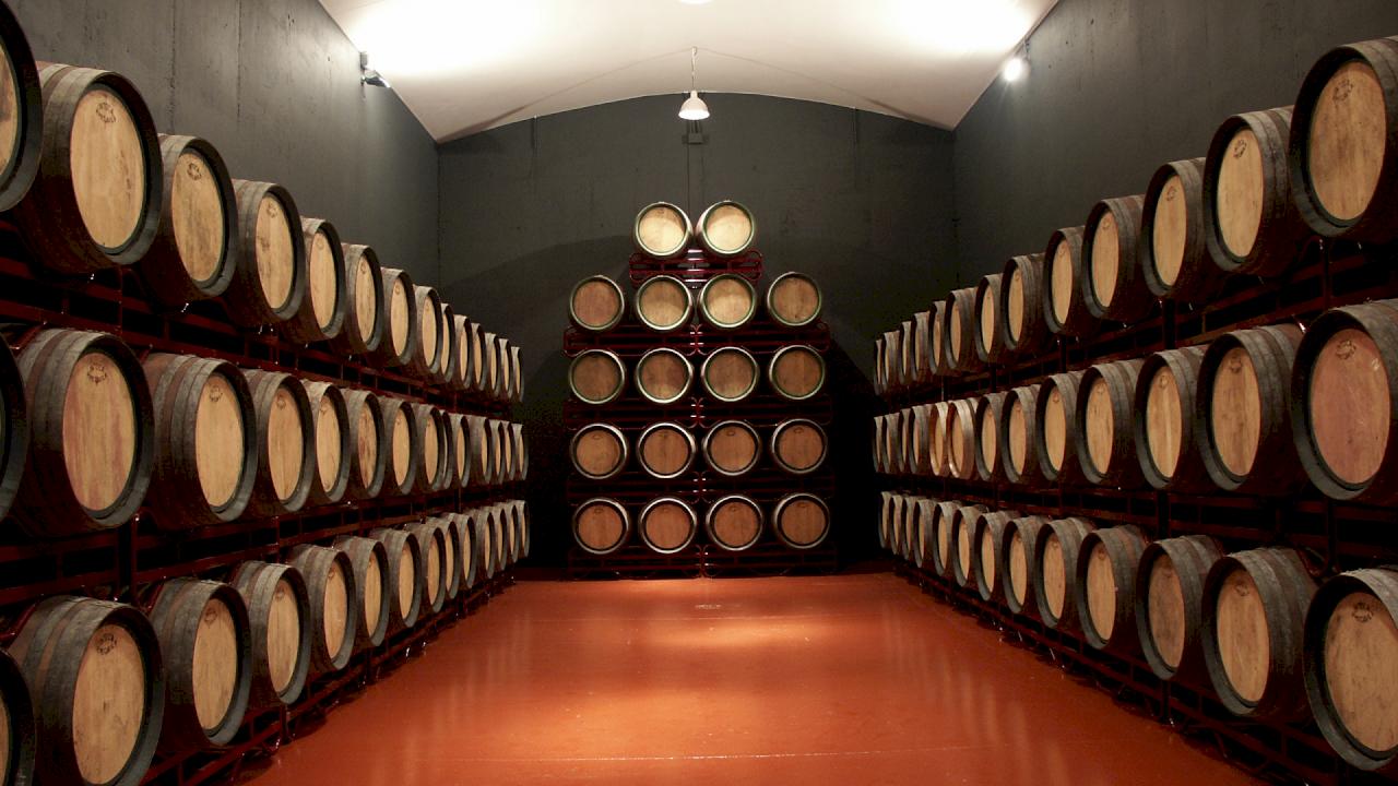 Groupe de caves viticoles situées dans diverses régions vinicoles espagnoles, idéal pour investir.
