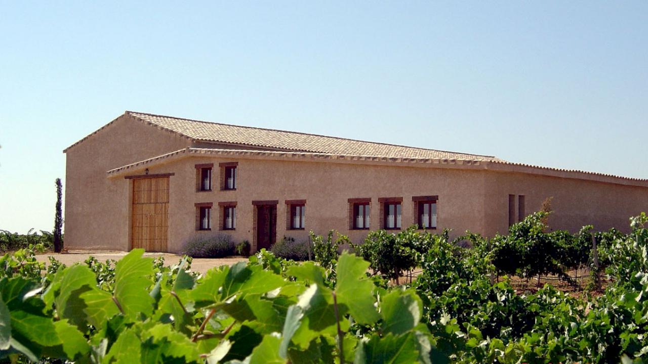 Organic winery in La Mancha for sale.