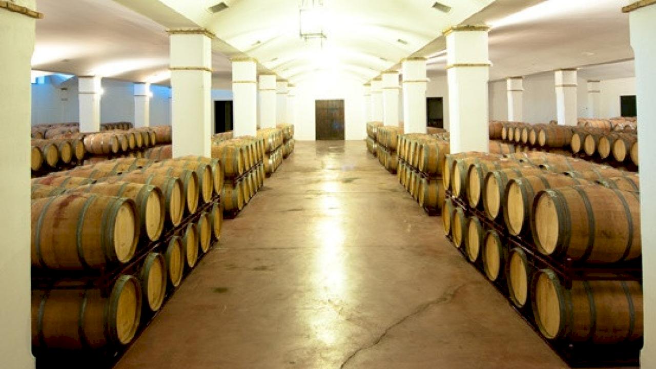 Weingut in DO Ribera del Guadiana zu verkaufen.