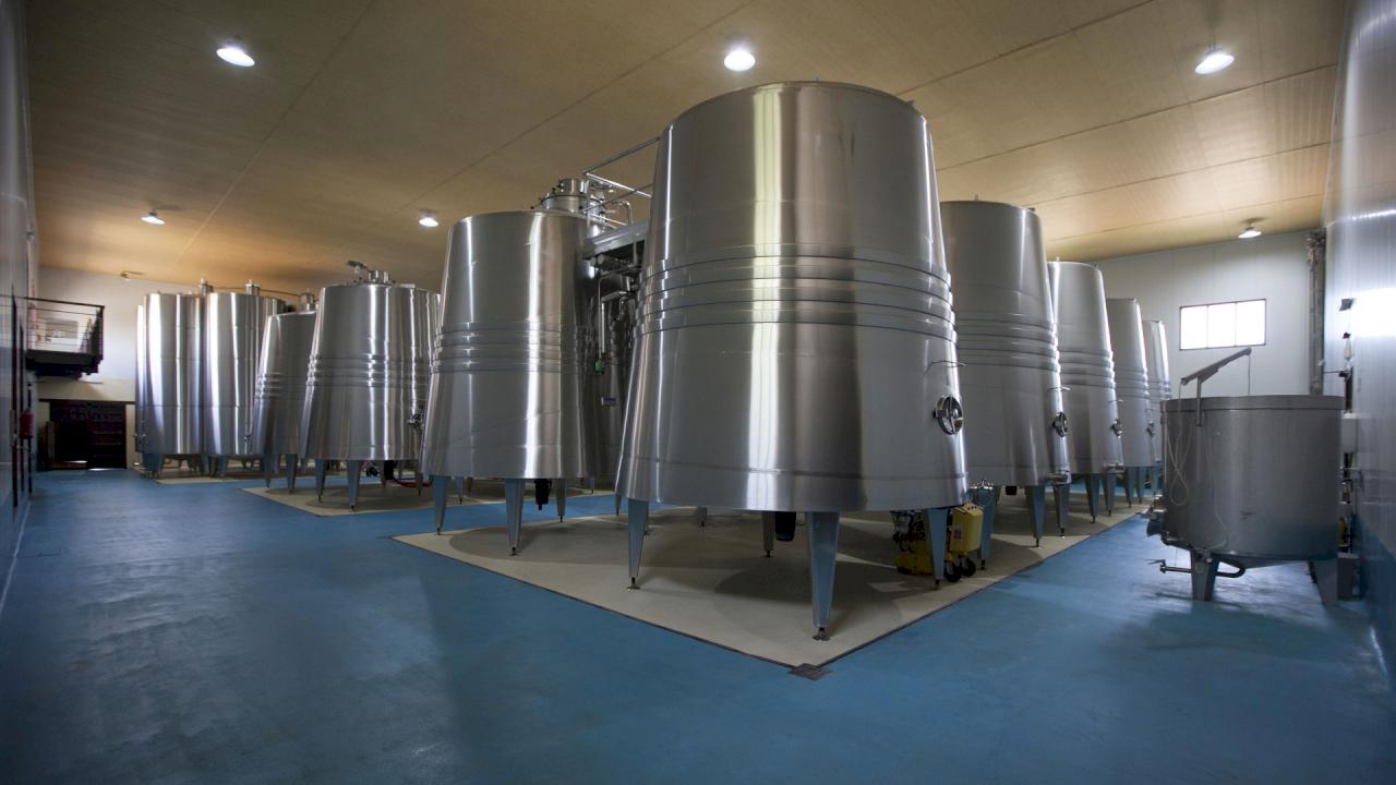 Cave viticole avec vignobles dans la DO La Mancha.