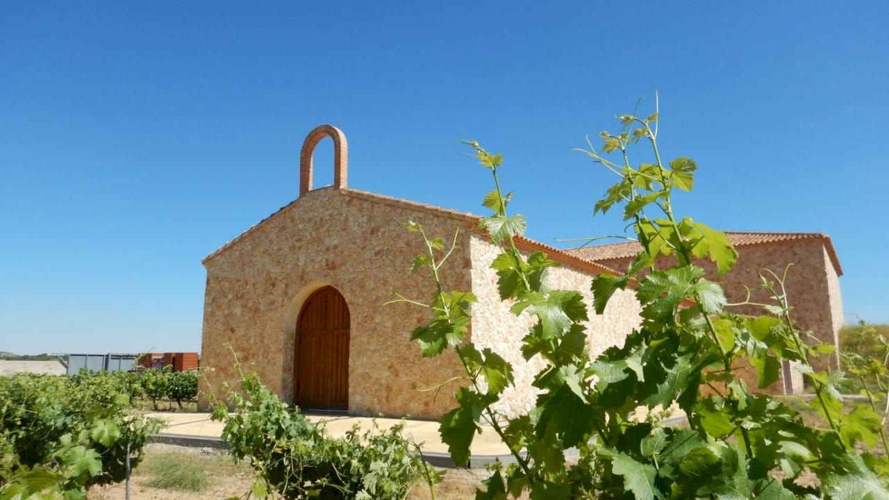 Domaine viticole à vendre dans la DO Toro.