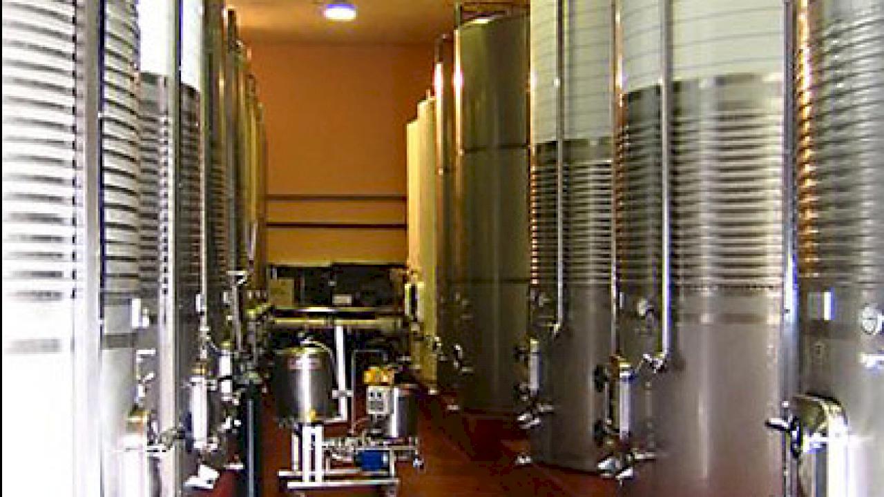 Winery of Tempranillo grape for sale in D.O. Ribera del Duero.